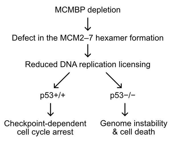 Figure1