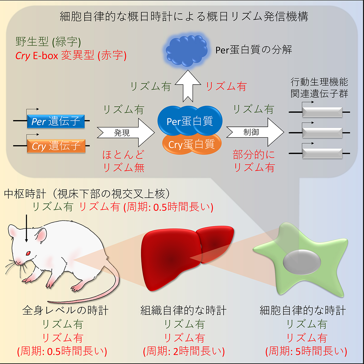 Figure1