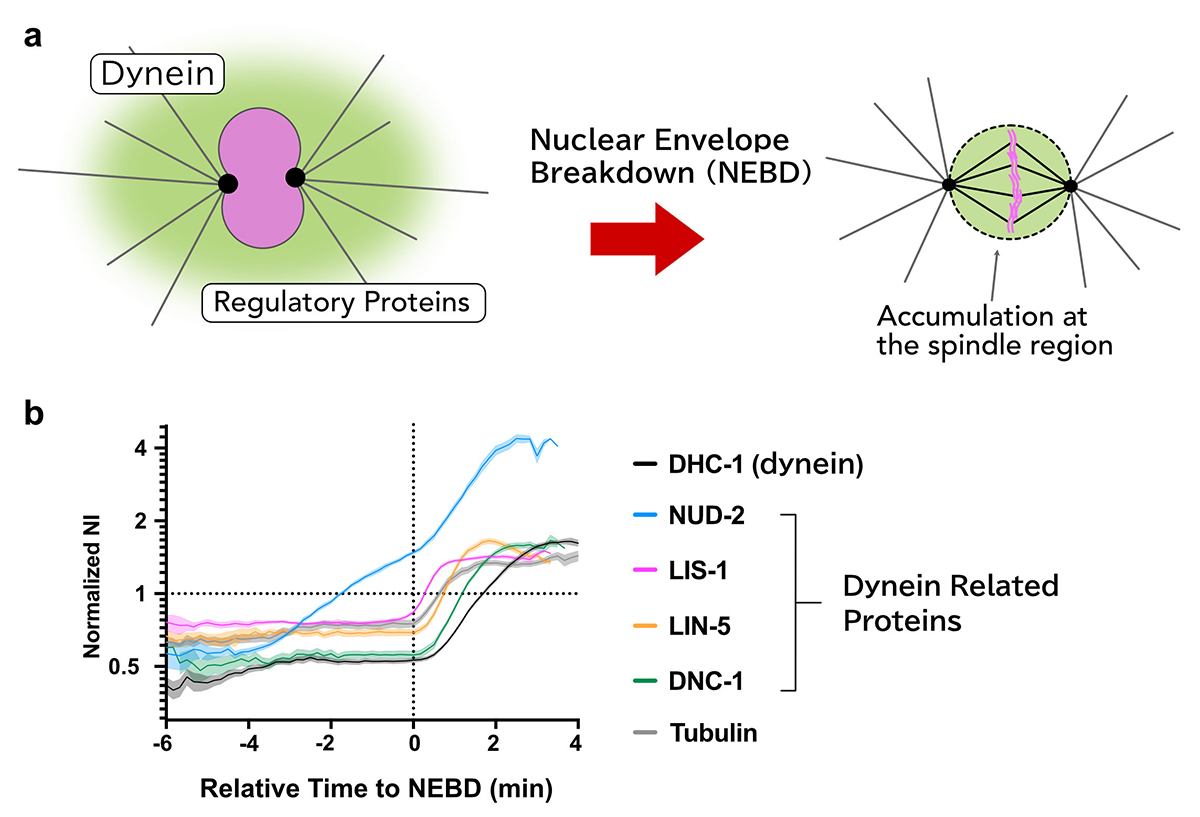 Figure1