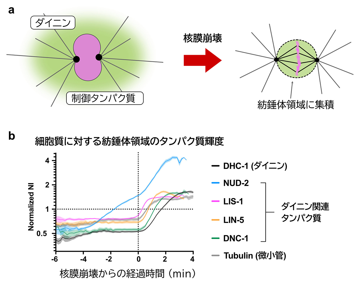 Figure1