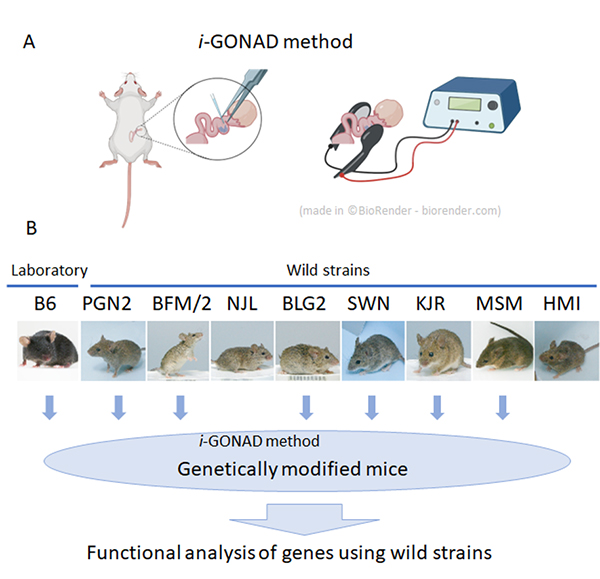 Figure1