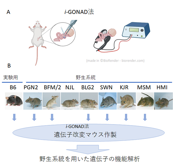 Figure1