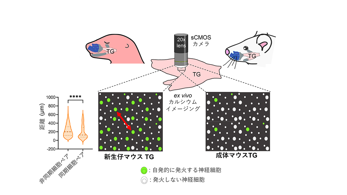 Figure1