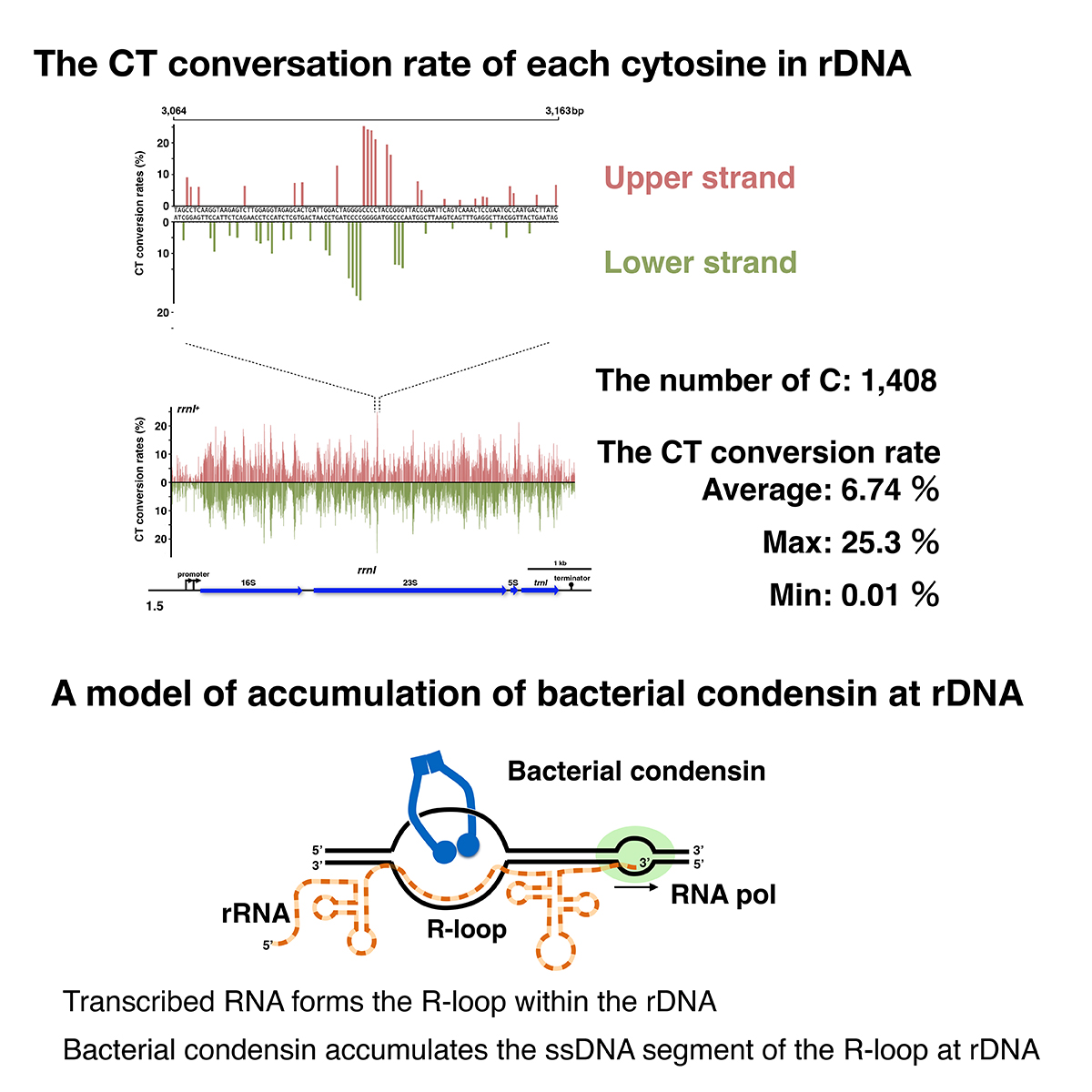 Figure1