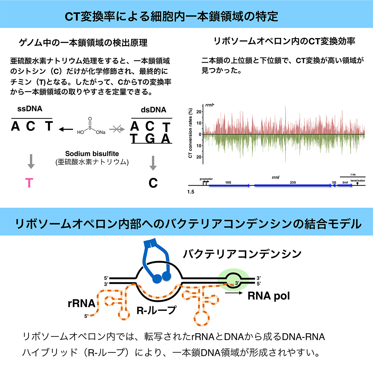 Figure1