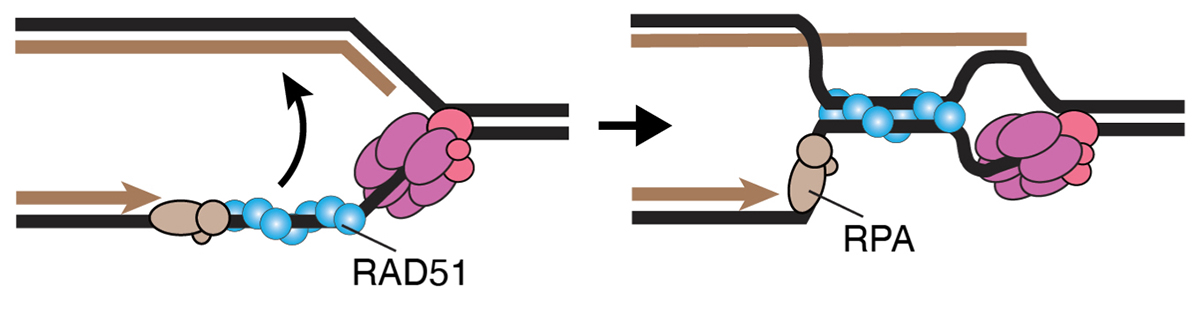 Figure1