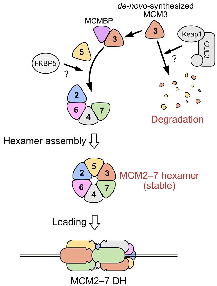 Figure1