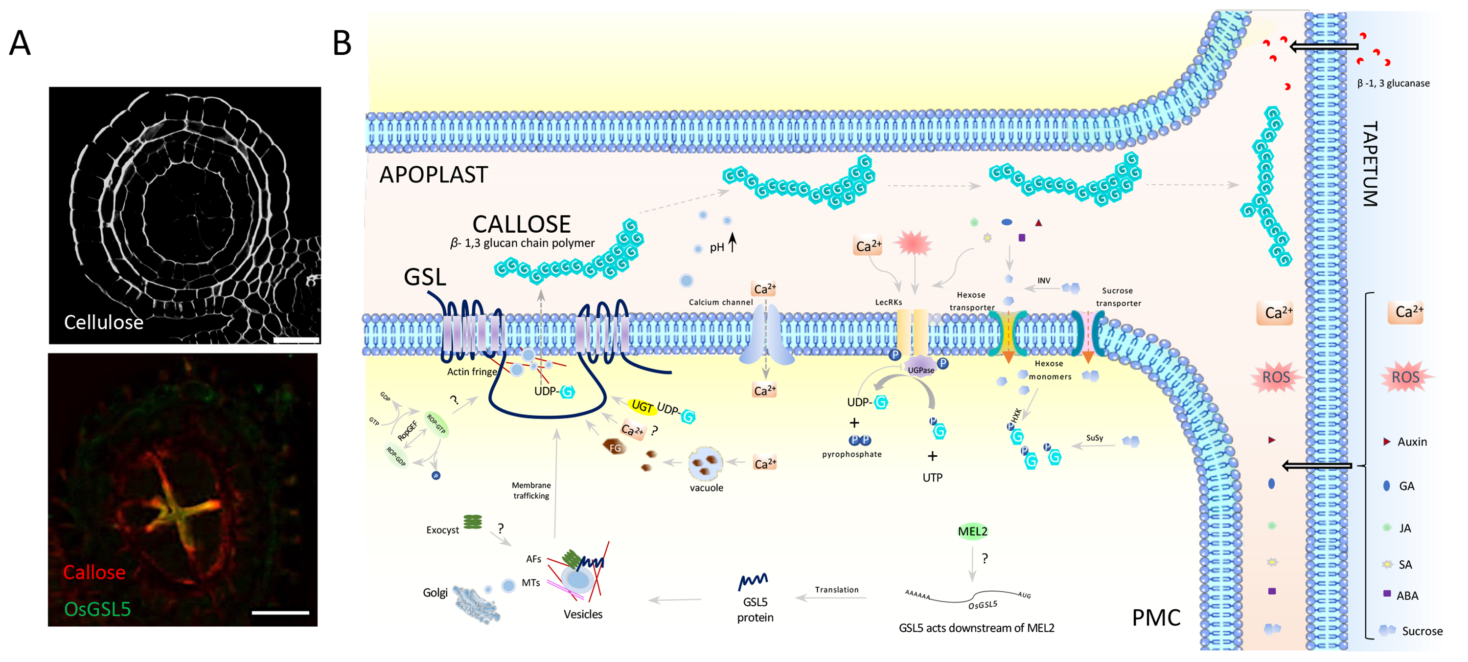 Figure1