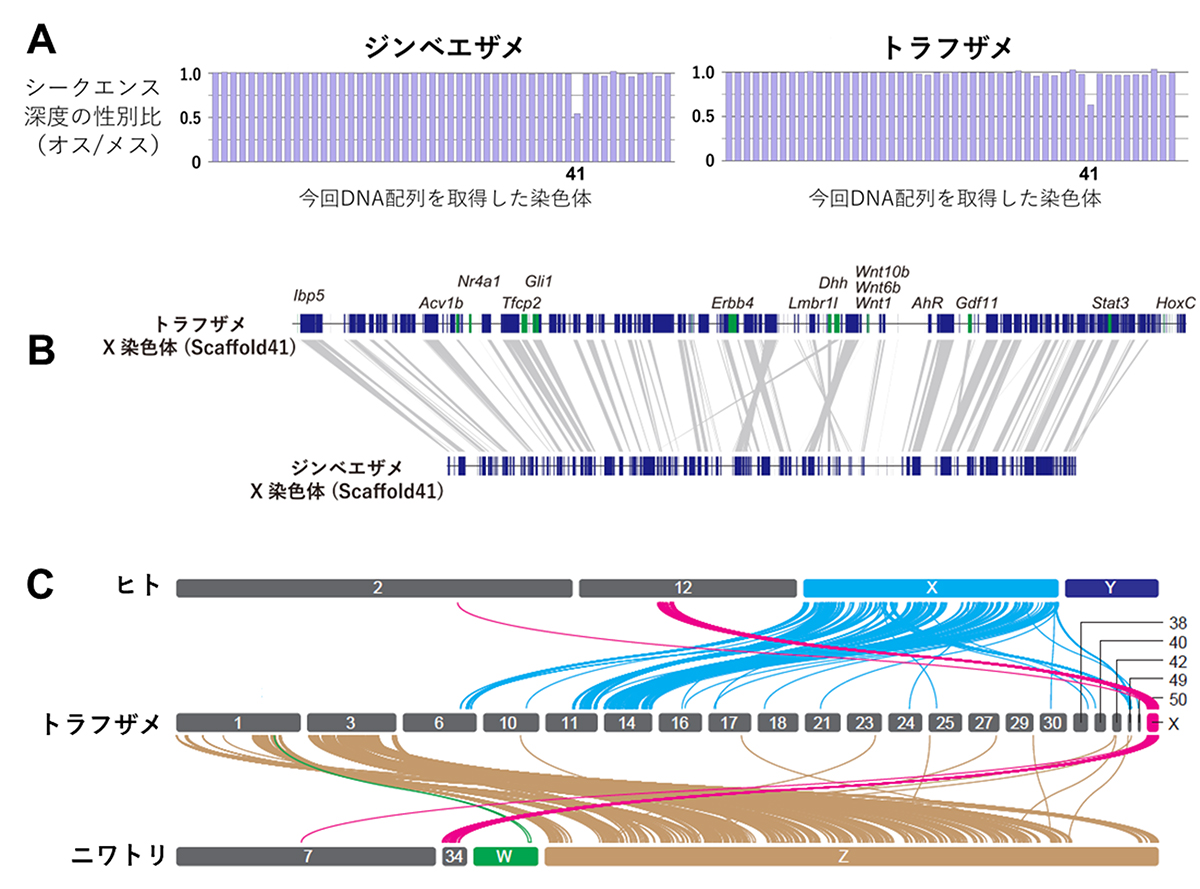 Figure1