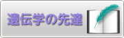 banner_ijin