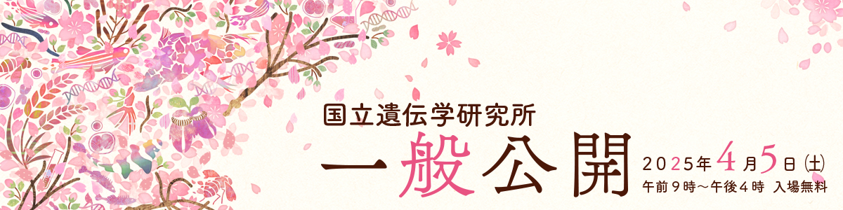一般公開2025