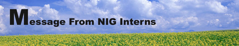 Message From NIG Intern