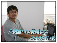 Abhinav Dubey---Gojobori lab