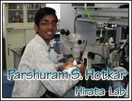 Parshuram S. Hotkar---Hirata Lab