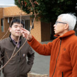 『受け継がれる熱意、遺伝研をサクラ研究の名所にしたい』