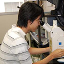 Cell Architectonics – a new way of looking the cells