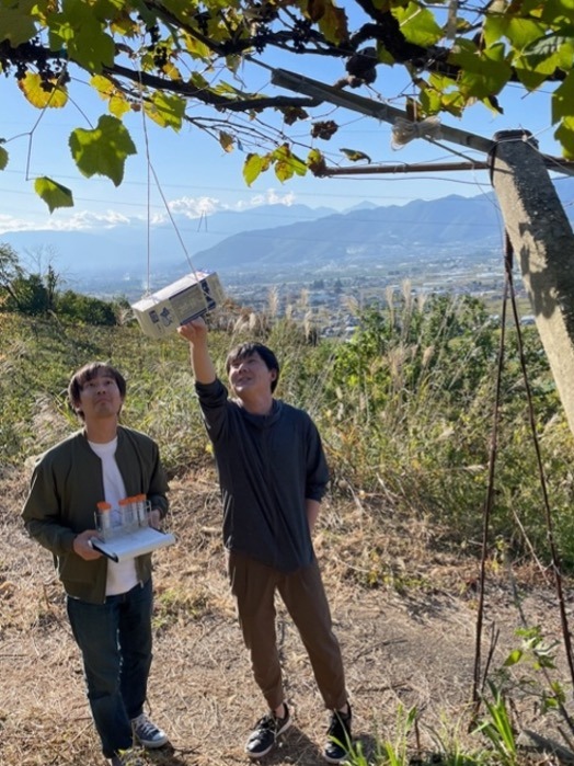 野生酵母の採取風景。果樹園に昆虫を誘き寄せるトラップを設置し、集めた昆虫から酵母を分離する。山梨県にて。